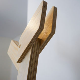 Zoom tête arrière.jpg