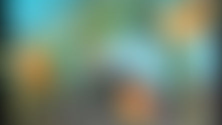 You Are God's Garden