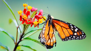 Strength In Brokenness