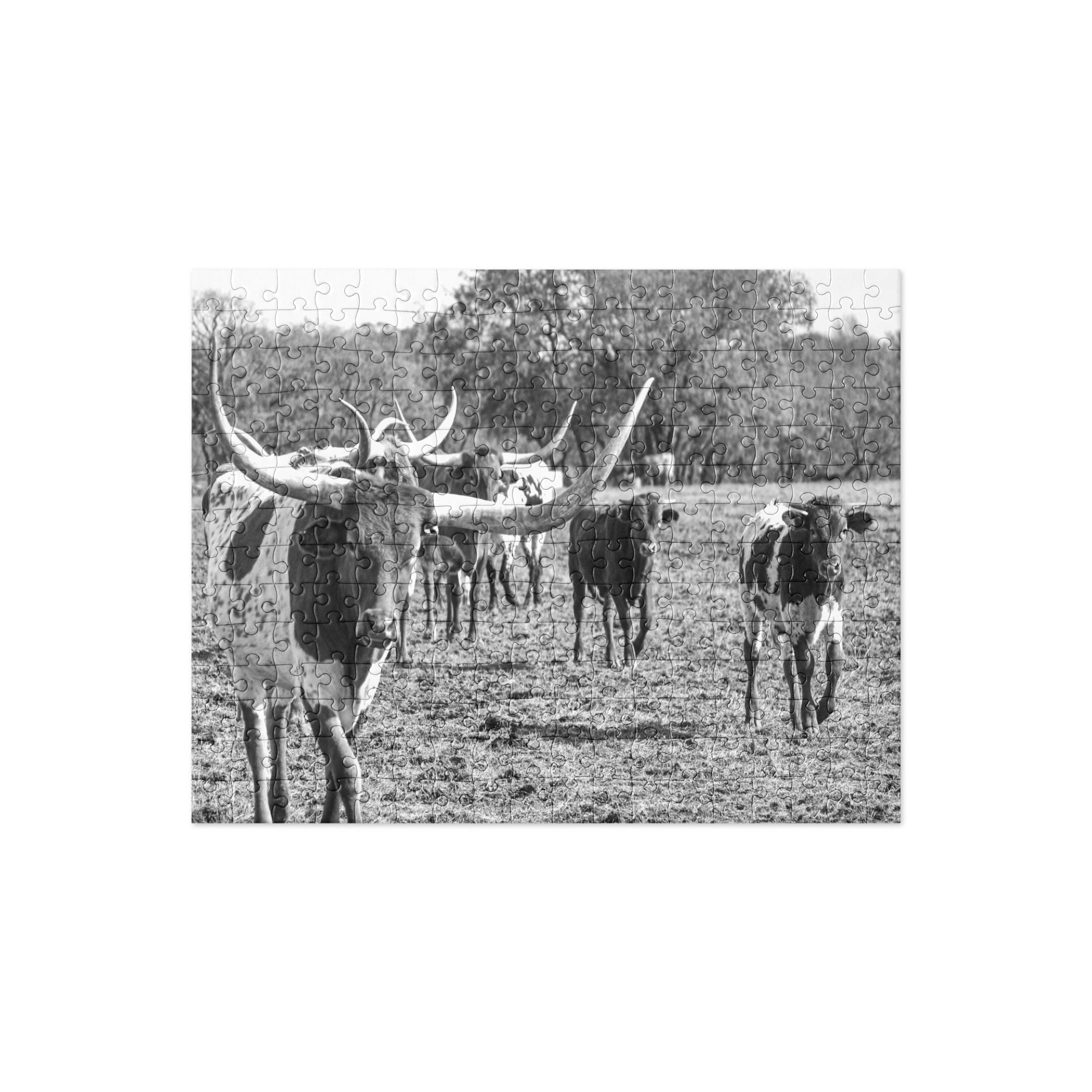 Jigsaw puzzle - longhorns