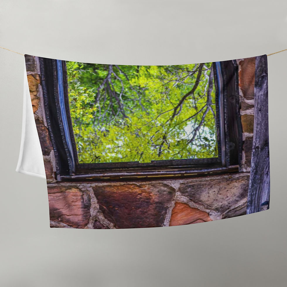 Thumbnail: The window out - Throw Blanket