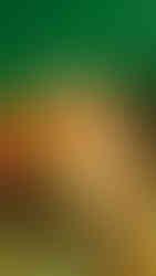 Layered mango mousse dessert with cream and crushed nuts, surrounded by tropical plants and mango slices at Palli Bangla Resort