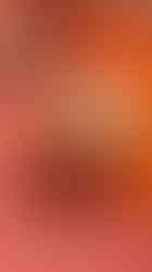 jamai sasthi bengali restaurant in kolkata