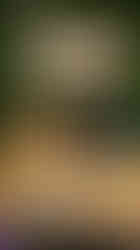 A young girl in a pastel outfit feeds her brother a spoonful of payesh from a golden bowl at a table piled with traditional Bengali dishes. Behind them, a green grass wall is decorated with a glittery ‘Raksha Bandhan’ sign and purple and white balloons