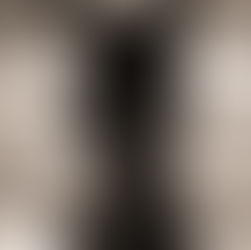 Alpaca Anniversary: Winter Recap