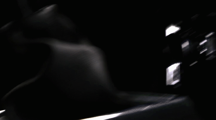 Bass5.gif