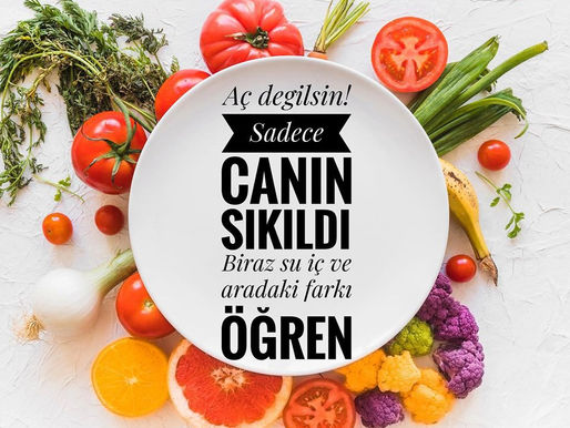 Açlık Sinyallerinizi Gözden Geçirin