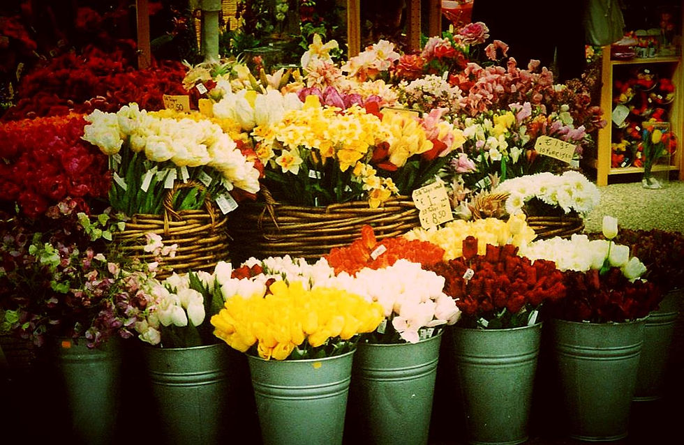 Amsterdam Flower Market