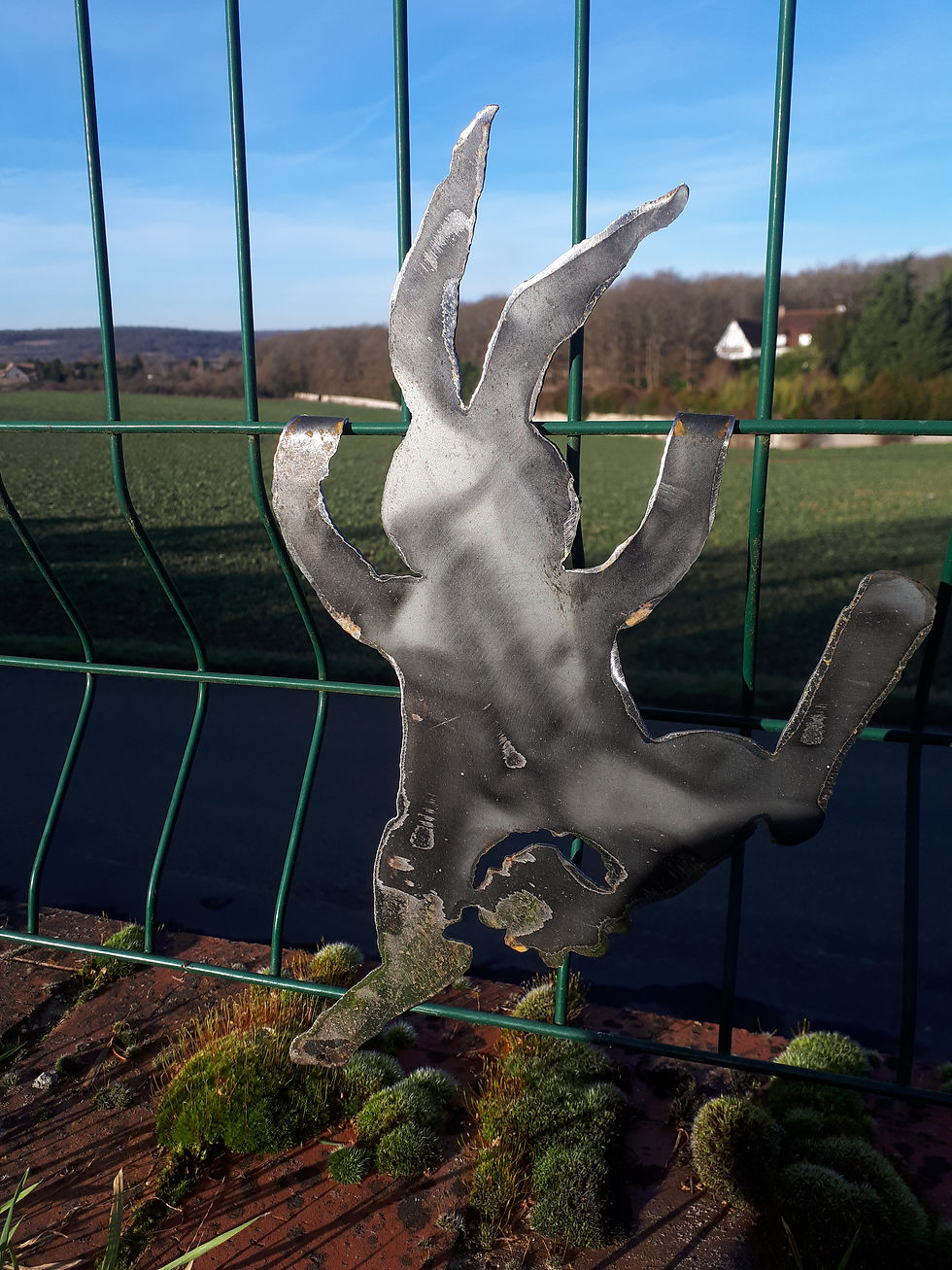 Miniature : Lapin Escaladeur