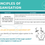 Thumbnail: PRINCIPLES OF ORGANISATION - ORGANISATION