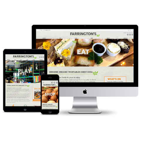 800 web design services-01_edited.png