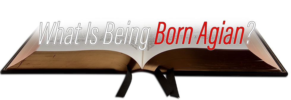 what is being born again logo
