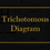 Thumbnail: Trichotomous Study Diagram