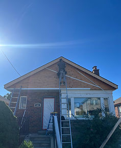 d96d68bf-3b9d-40ed-8919-c3a6b83fafcf.jfif