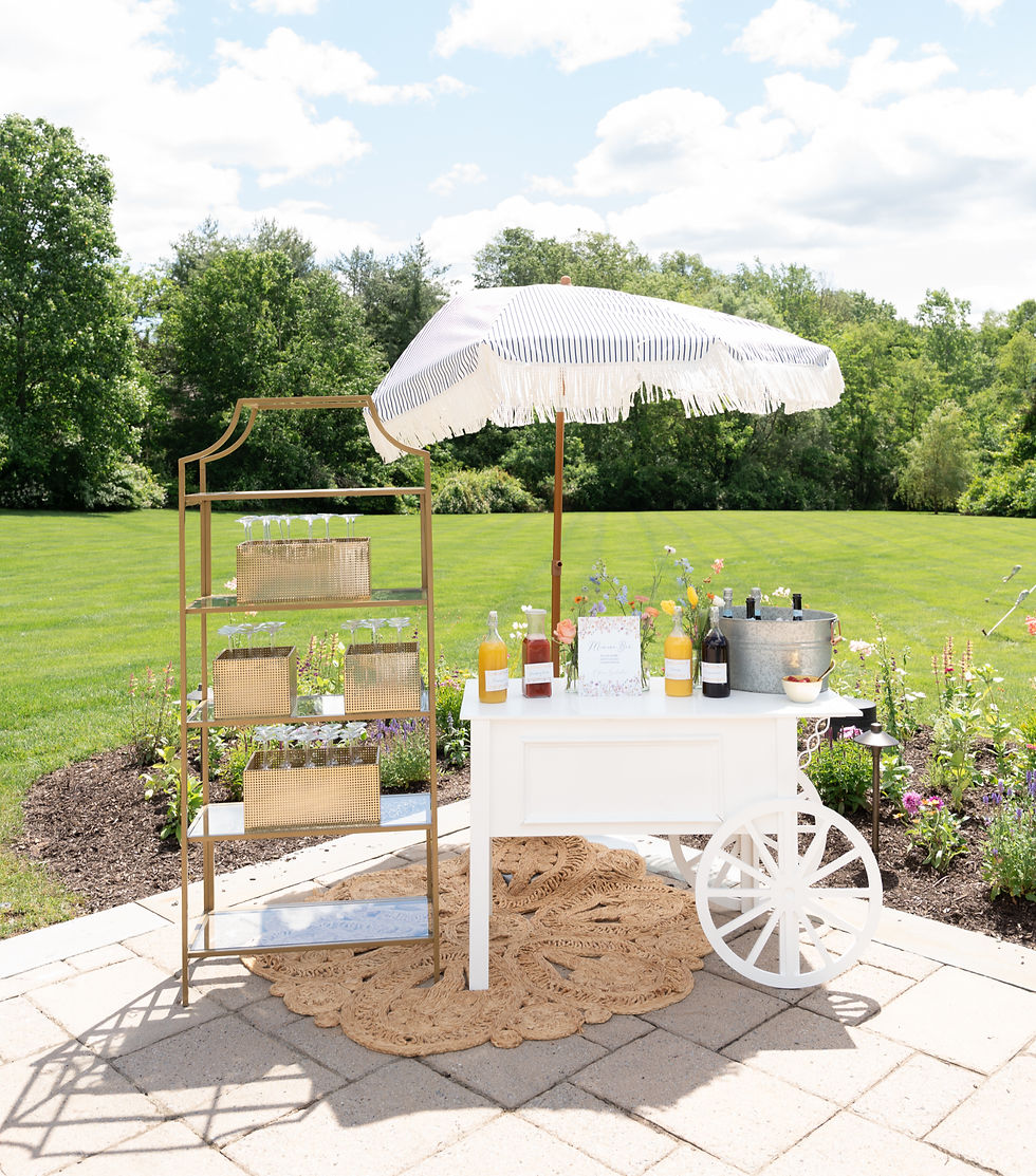 White cart rental for parties. Mimosa bar cart