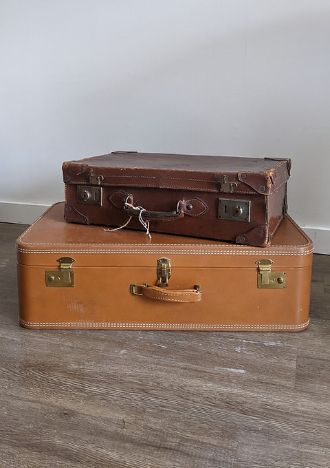 Vintage Luggage Cedar and Sage