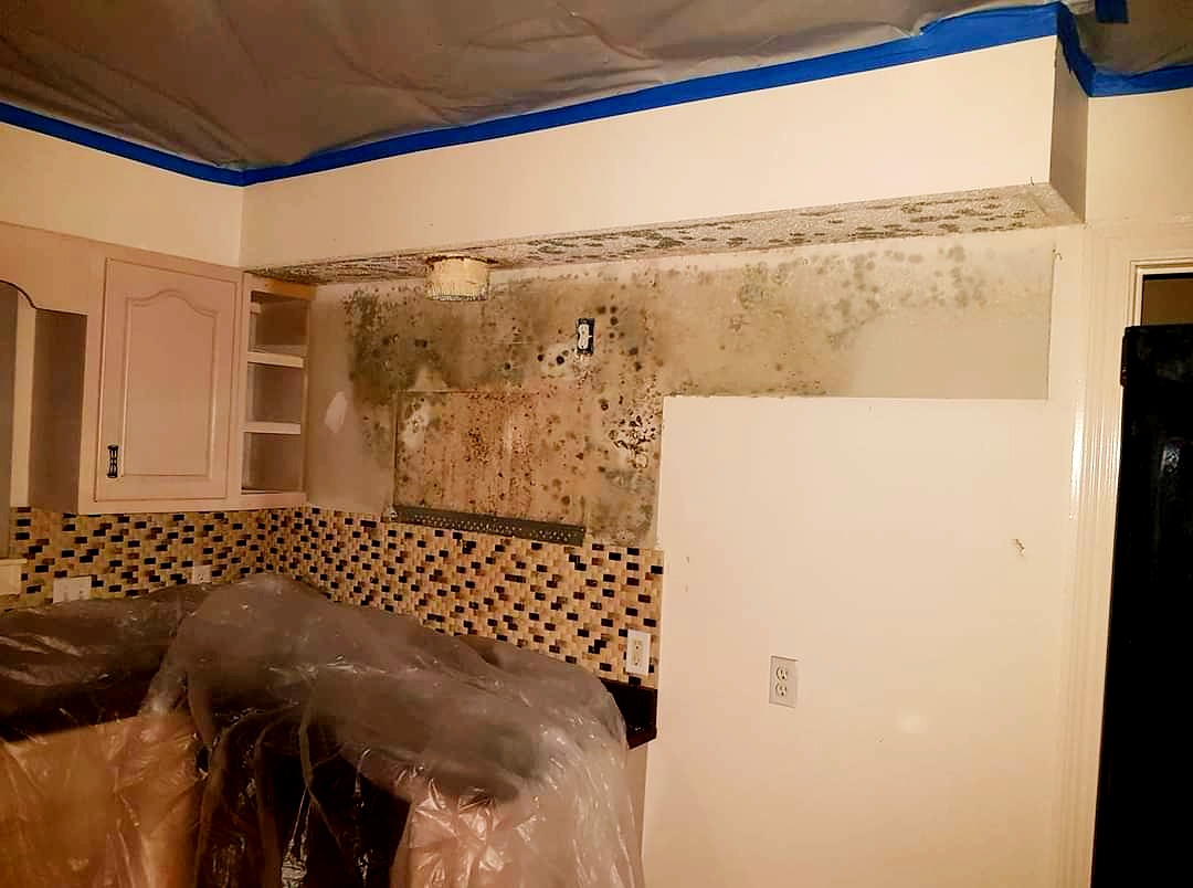Mold Remediation
