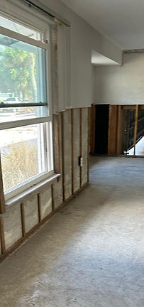 remediation 1_edited.jpg