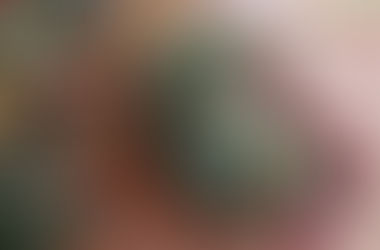 <満席御礼>yyflower クリスマスリースワークショップ 12月7日(日)