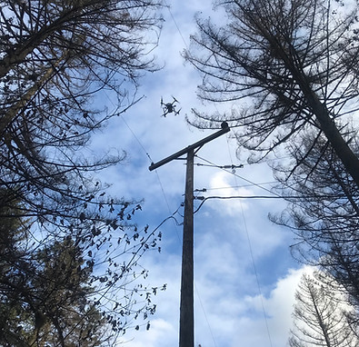 Photo of Power Pole from inspections