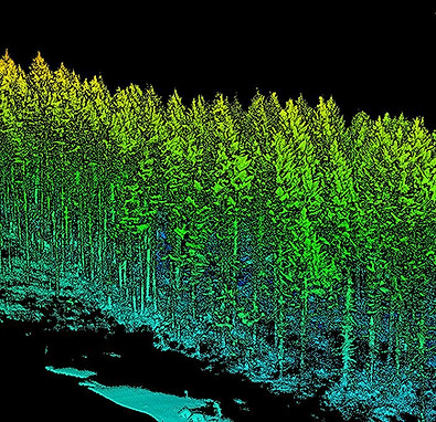 Photo of LiDAR Imaged Tree Line