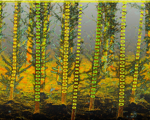 Screenshot from 2025-05-09 11-13-08 (3).png