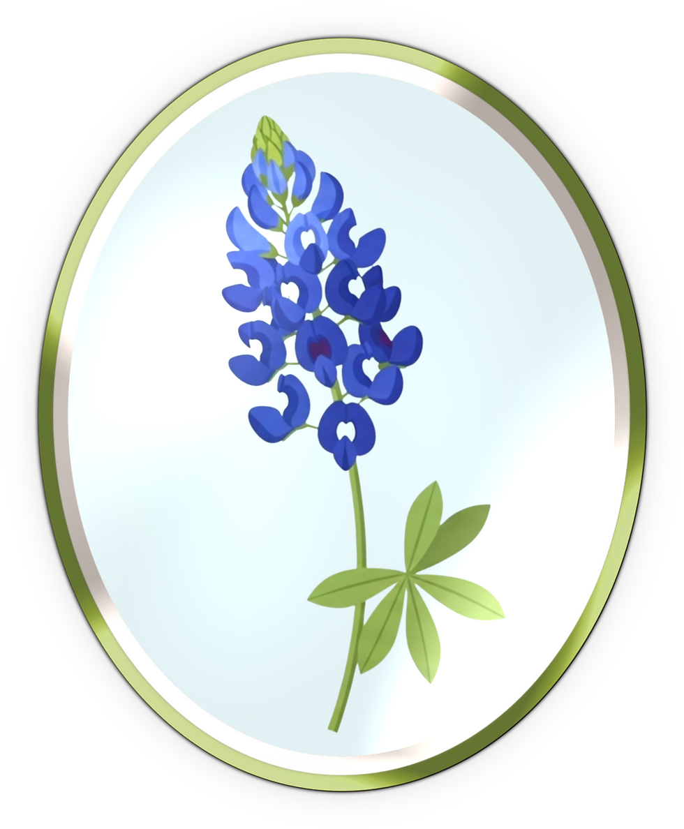 bluebonnet sticker