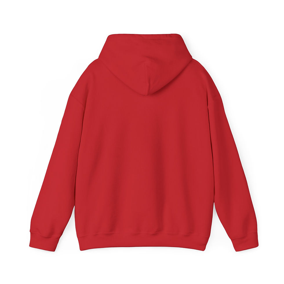 love college campus red hoodie sweatshirt teen women