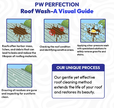 Roof Wash- PW Perfection
