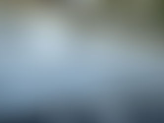 Hurricane Shutters: A Key Feature for Your Home