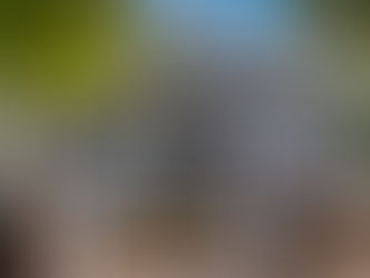 Florida Homestead Exemption: Deadlines and Benefits for 2025