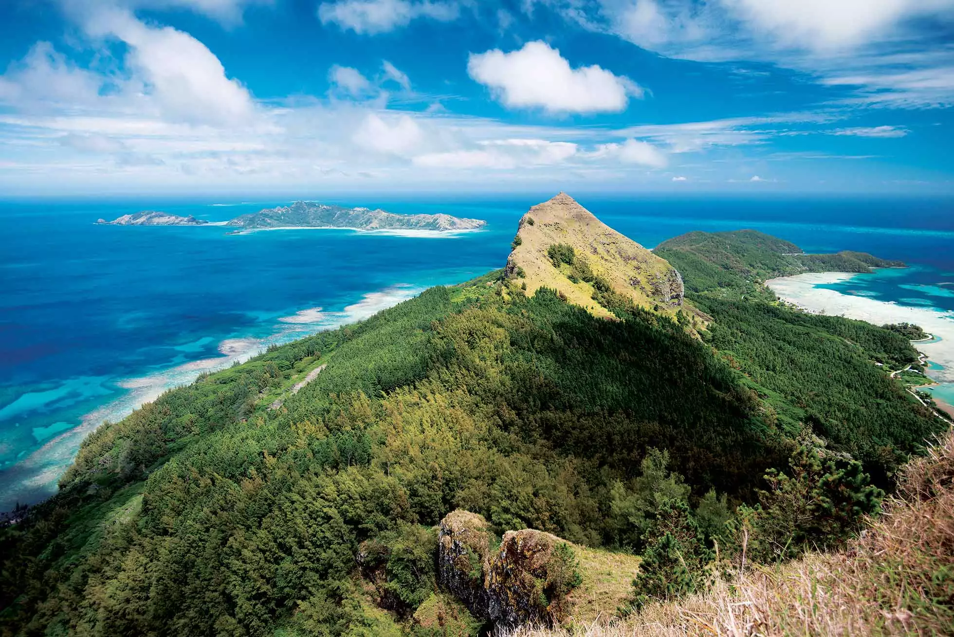 gambier-paysage-hauteur-montagne-bacchet.jpg.webp
