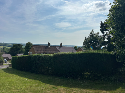 Hedge Cutting with a View