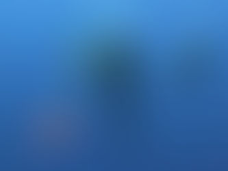 Adaptive dive team (Rachel and Mike) assisting an adaptive diver (Chris) during his scuba dive in the crystal clear waters in Cozumel, Mexico.