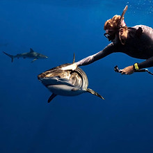 Scuba instructor diving with a shark.