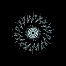 Radial_20191218_231854