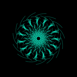 Radial_20200104_190954