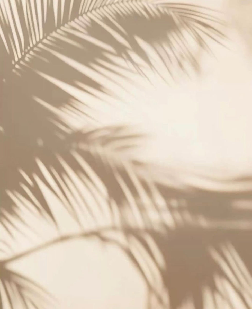 PHOTO OF PALM TREES.jpg