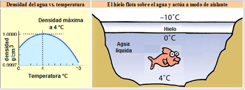 El hielo flota en el agua