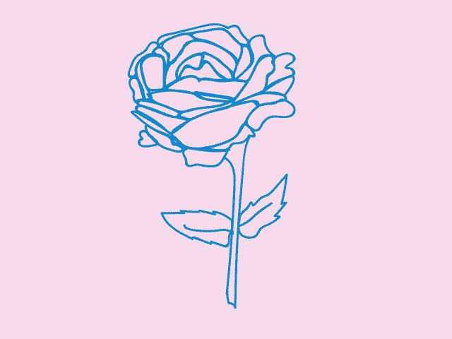 GIF