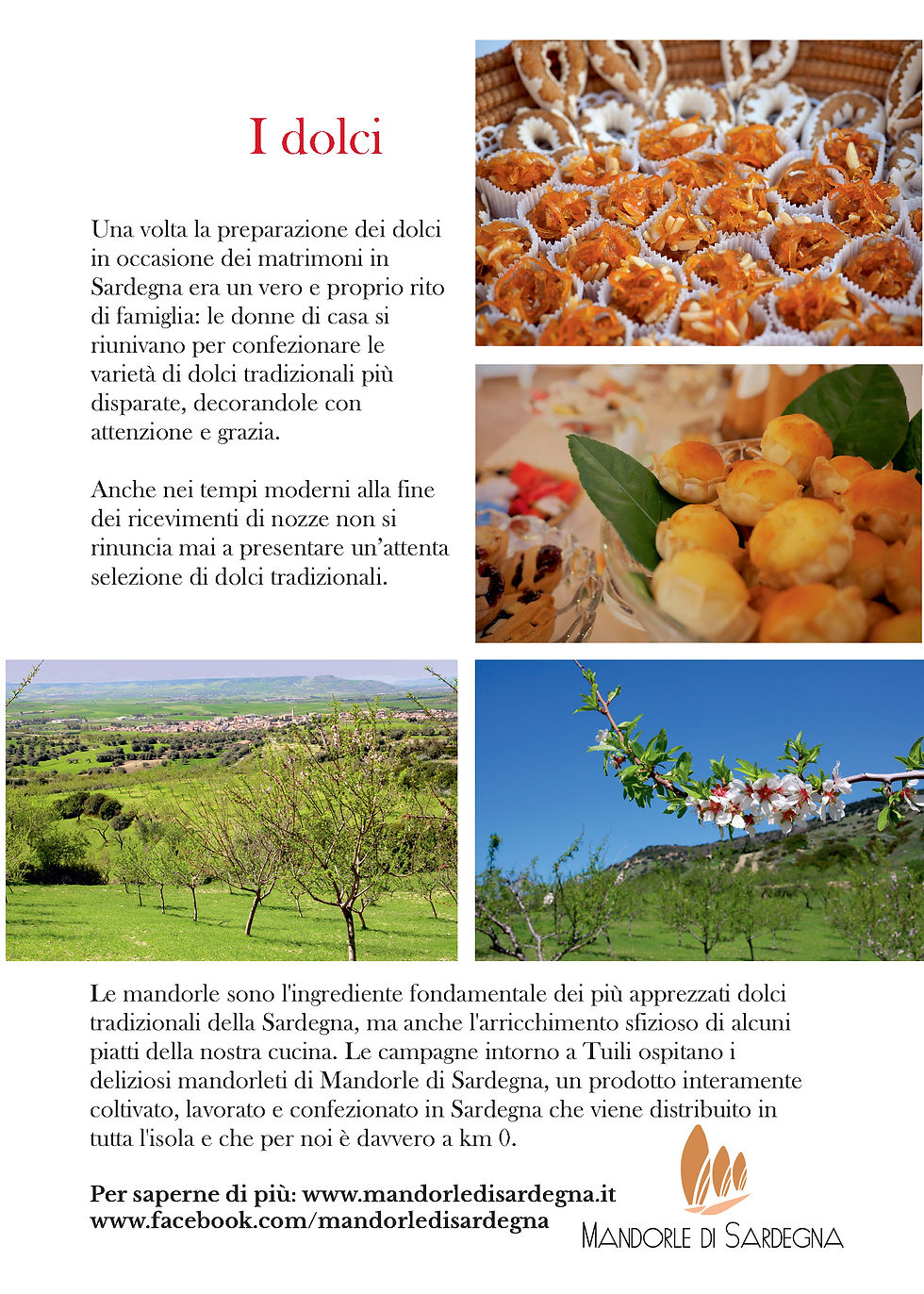 Menu matrimonio Sardegna