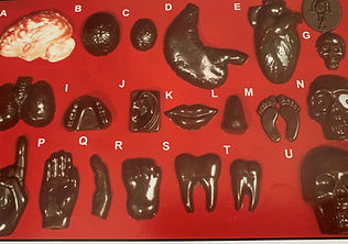 body parts.jpg