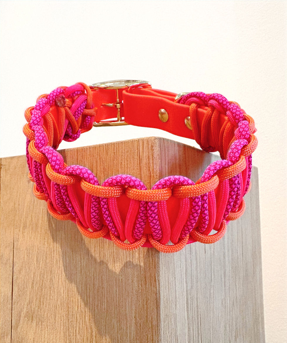 Miniaturbild: Halsband aus Biothane und Paracord, dreifarbig, Farben frei wählbar