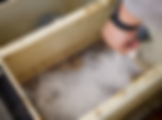 キープクリーンネクスト,シースリバー,