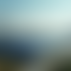 Combatting Losses in Energy and Water Utilities