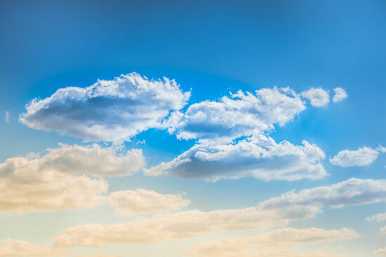 February is Age Related Macular Degeneration/Low Vision Awareness Month!