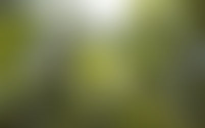 Dia Mundial do Meio Ambiente: Pequenas Ações, Grandes Impactos