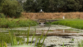 Zorgen over gevolgen van aanhoudende droogte