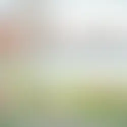 Grote vraagtekens bij visie ‘Singel van Zwolle’