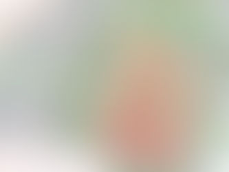 Themadebat Gebiedsvisie Stadsbroek